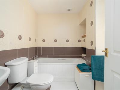 Picture 15